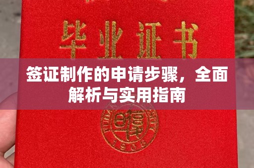 沂南签证制作的申请步骤，全面解析与实用指南