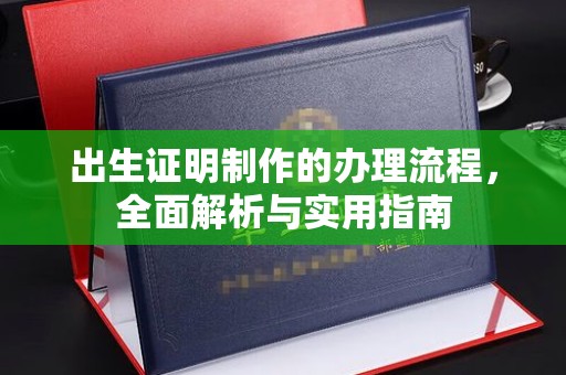 沂南出生证明制作的办理流程，全面解析与实用指南